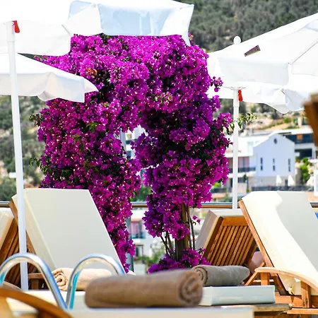 Hotel Happy Kalkan